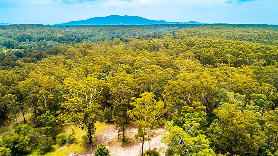 Collombatti Lookout