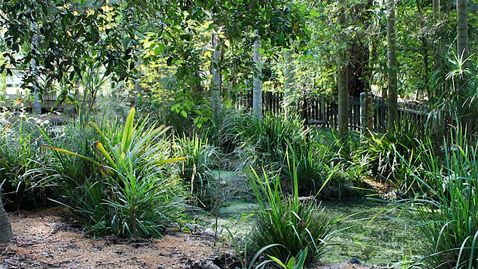 Wigay Aboriginal Culture Park